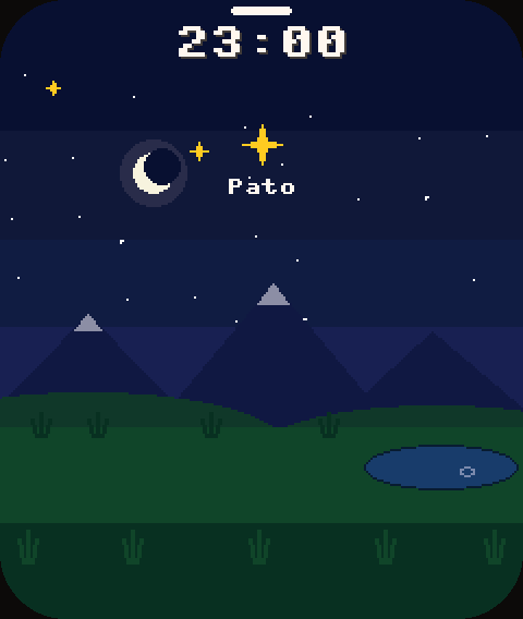 Céu da noite com a estrela do Pato